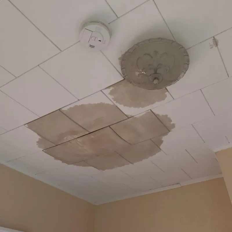 Ceiling Water Damage Repair in Millersville, TN