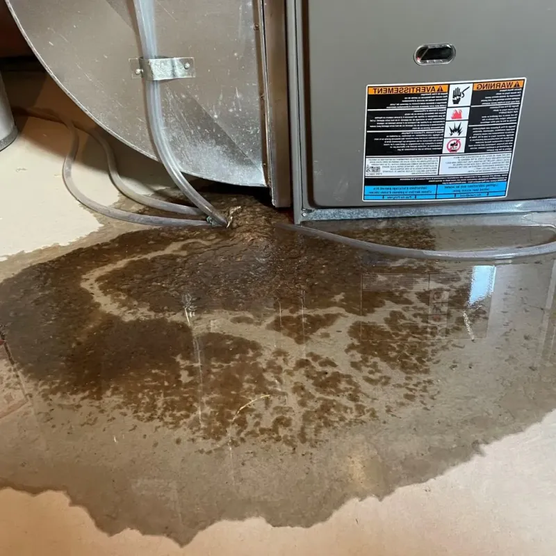 Pipe Burst and Leak Restoration in Millersville, TN