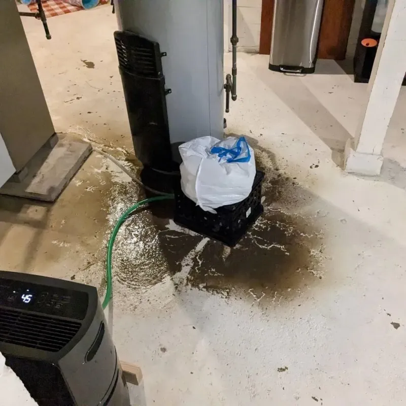 Sewage Backup Cleanup Service in Millersville, TN